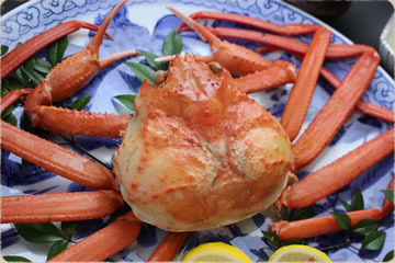 日本海の紅ズワイガニ