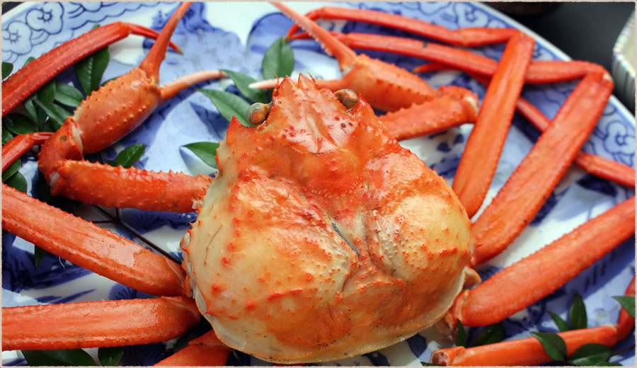 紅ズワイガニ付いなか会席