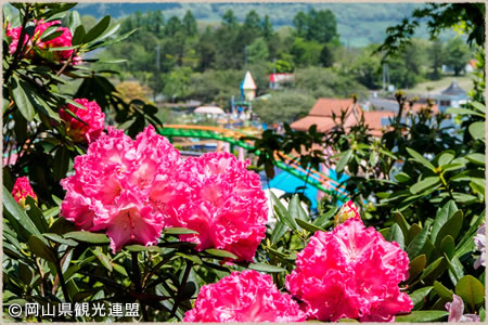 ヒルゼン高原センター・ジョイフルパーク
