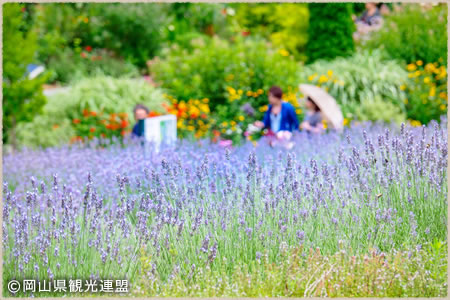 蒜山ハーブガーデン　ハービル